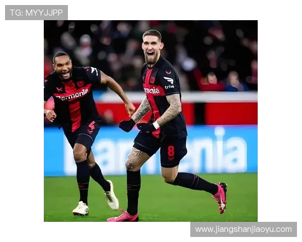 德甲赛场上组织献血活动的球队有哪些？